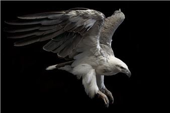 Gary Heery - Olsen Gallery, Sydney