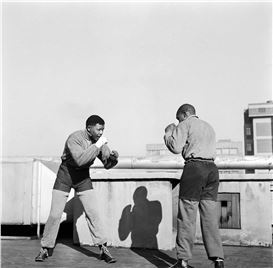 First Ever African Photography Auction Delivers a Good Punch with New Records