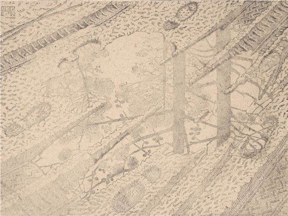 Modderplas (Puddle) by Maurits Cornelis Escher