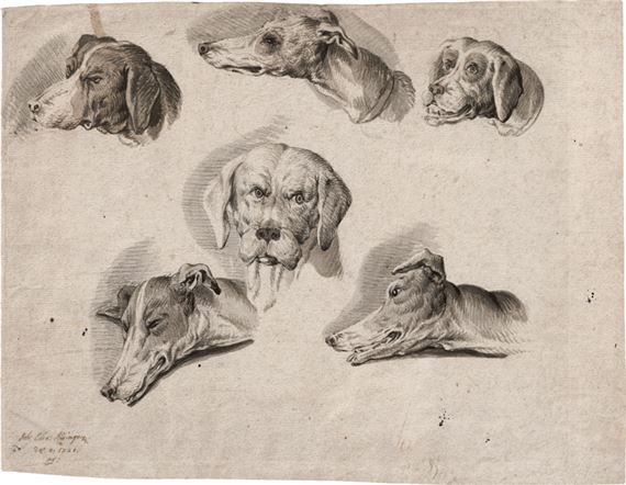 Studienblatt mit Hundeköpfen by Johann Elias Ridinger