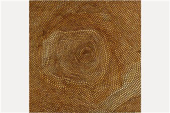 A New Exhibition by Artists from Maruku Arts in Central Australia Showcases Walka (Design)