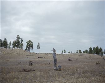 Agnieszka Rayss: A Więc Wojna - Muzeum Narodowe w Gdańsku