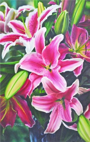 Oriental Lilliums - Greg Tothill