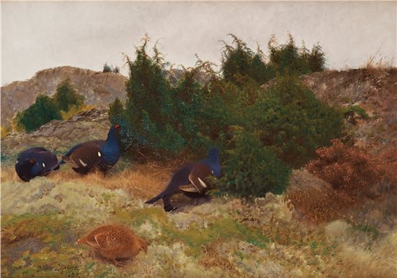 Black grouse in autumn landscape by Bruno Liljefors, dated 1909