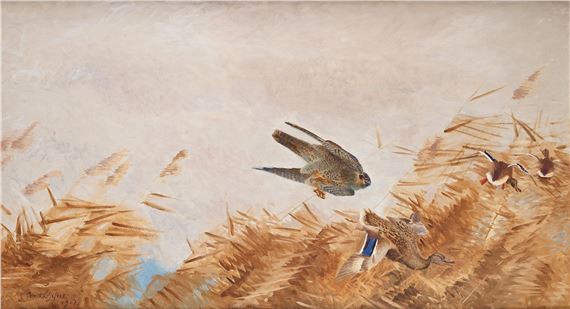 Falcon hunting ducks