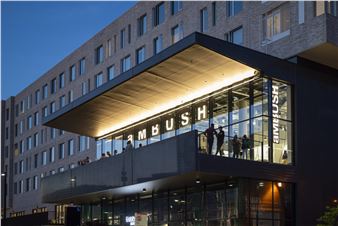 Here I Am: Art by Great Women - aMBUSH, Canberra