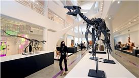 Pandemic-Edition Miami Art Week Kicks off with Scaled-down Events