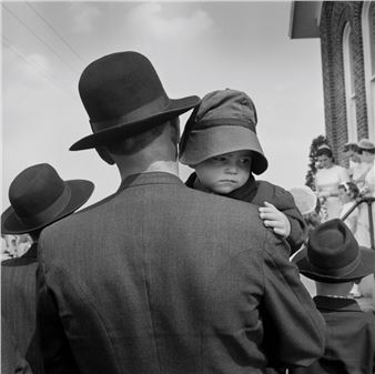 David Hunsberger: Harvest - The Cardinal