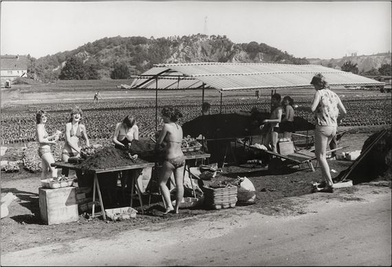 Harvesting by Harald Hauswald