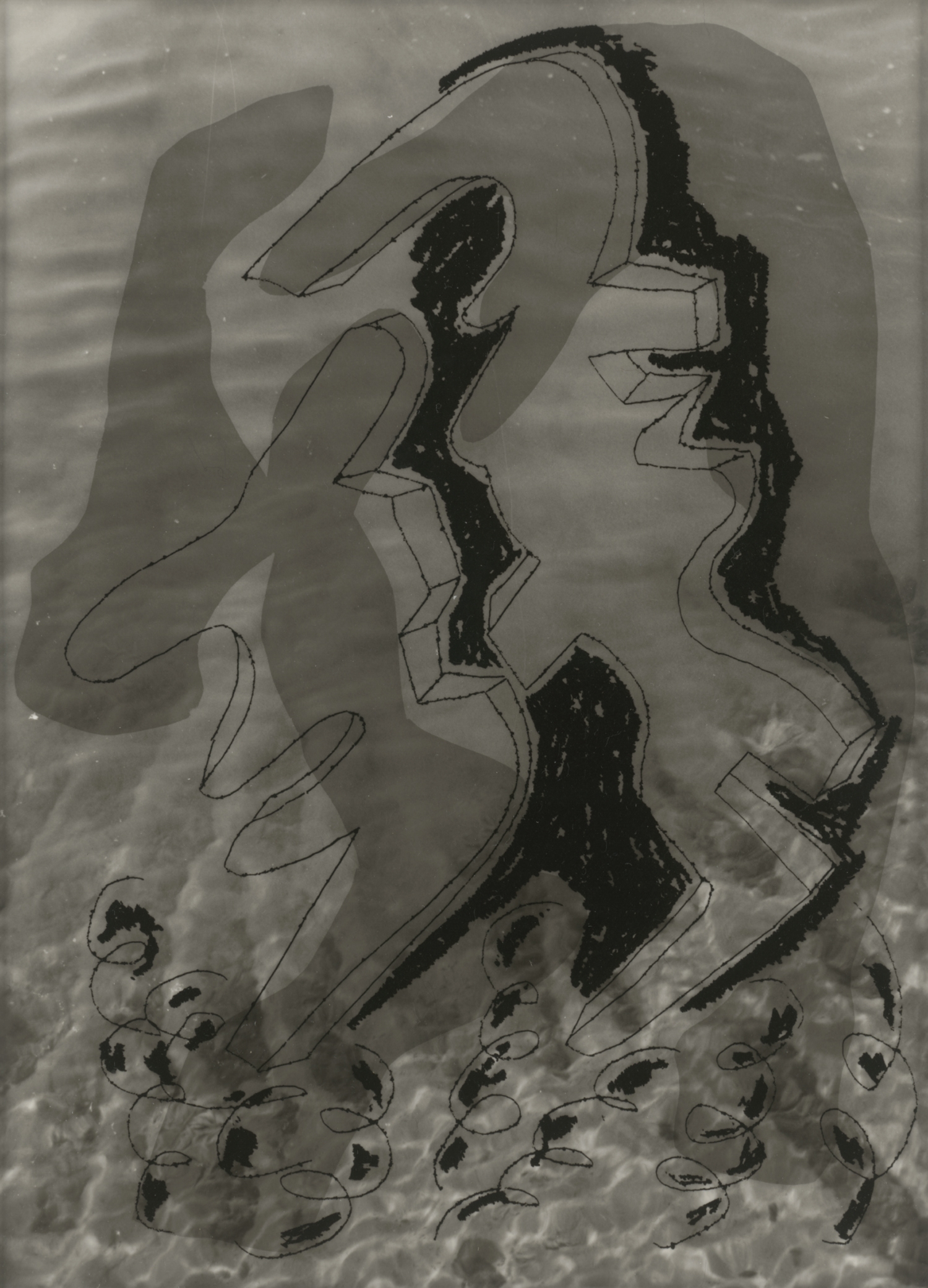 Artwork by Pidder Auberger, Two works: Cliché verre 60; Cliché verre 62, Made of gelatin silver print (2)