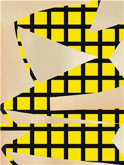 Sarah Heinemann: Visible Program - Sardine