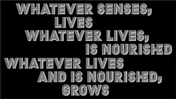The Faculty Of Sensing: Thinking With, Through, and By Anton Wilhelm Amo - SAVVY Contemporary