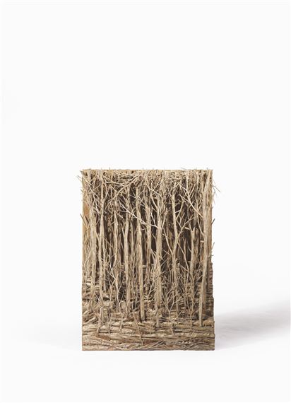 Forêt by Eva Jospin, 2020