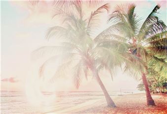 ONLINE: Foam Talent, Digital 2020 - Beaconsfield