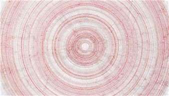 Collection - Mornington Peninsula Regional Gallery (MPRG)