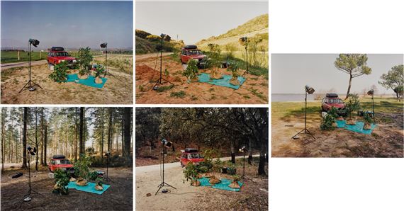 Rescued Rhododendrons (production stills) by Simon Starling, Executed in 2000