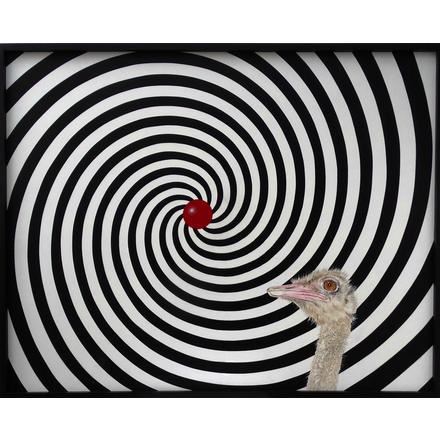 LA SPIRALE by Serge Lemonde, 2019