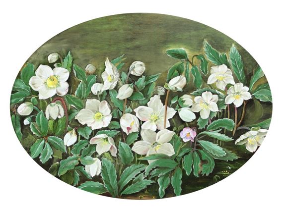 Still life with hellebores by Käthe Thaisen