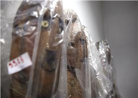 Racist or Responsive? Italy to Exhume Mussolini's Colonial Museum Collection in 'Critical' New Display