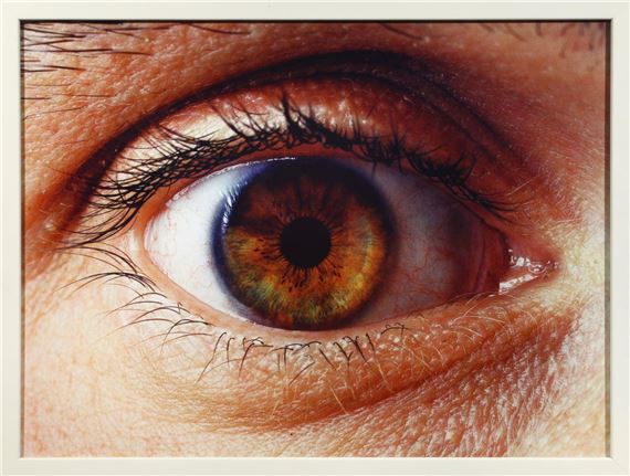 Zonder titel by Koen Vanmechelen, 2001