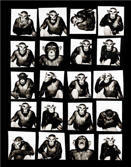 Monkey With Mask by Albert Watson, 1994