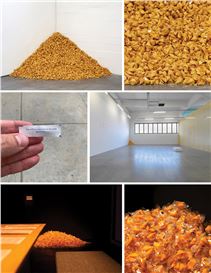 Cookie Monster: Why a Felix Gonzalez-Torres Project Was One of 2020’s Biggest Flops