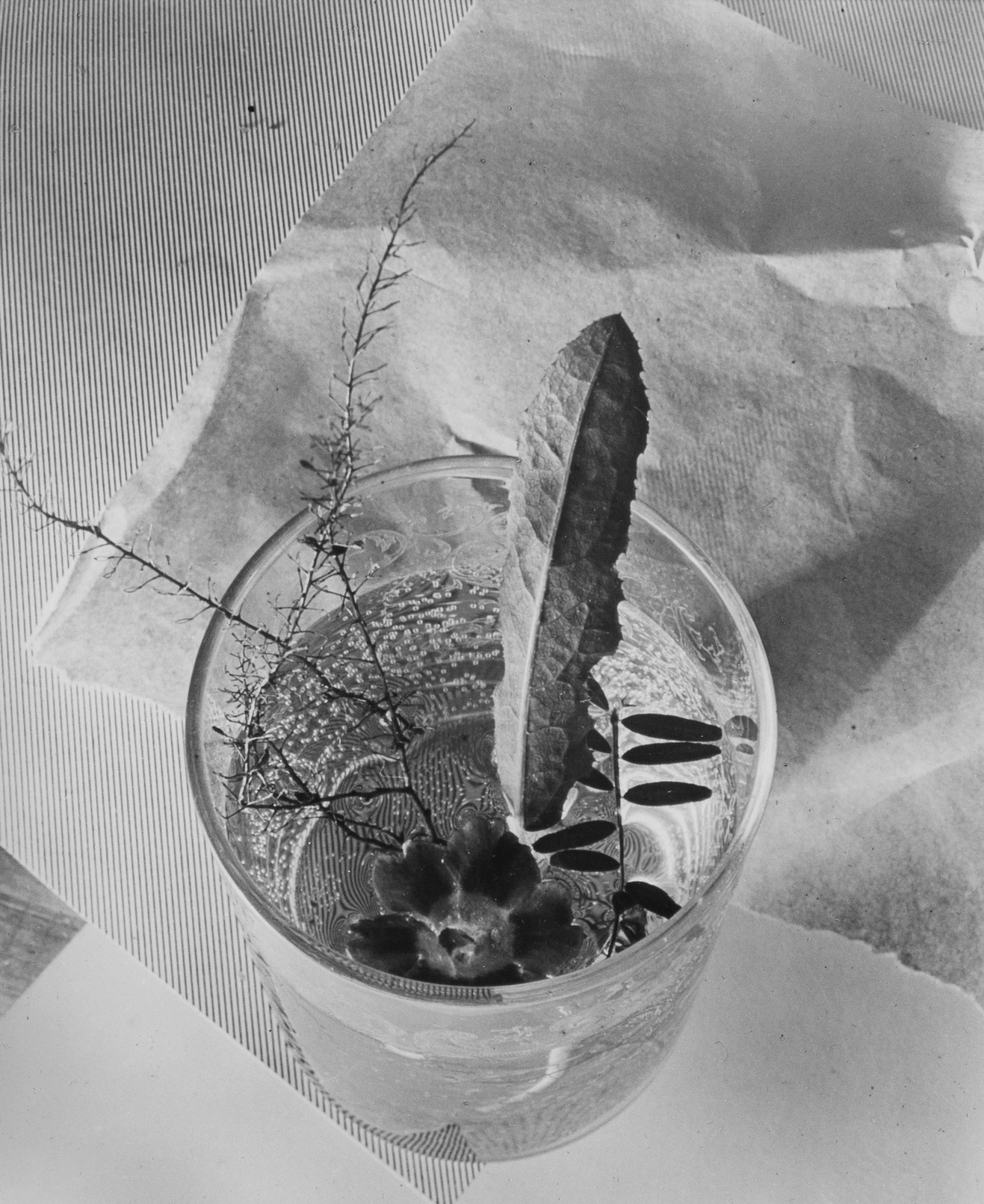 Artwork by Ringl & Pit, 'Fotografie ringl + pit', Made of silver prints