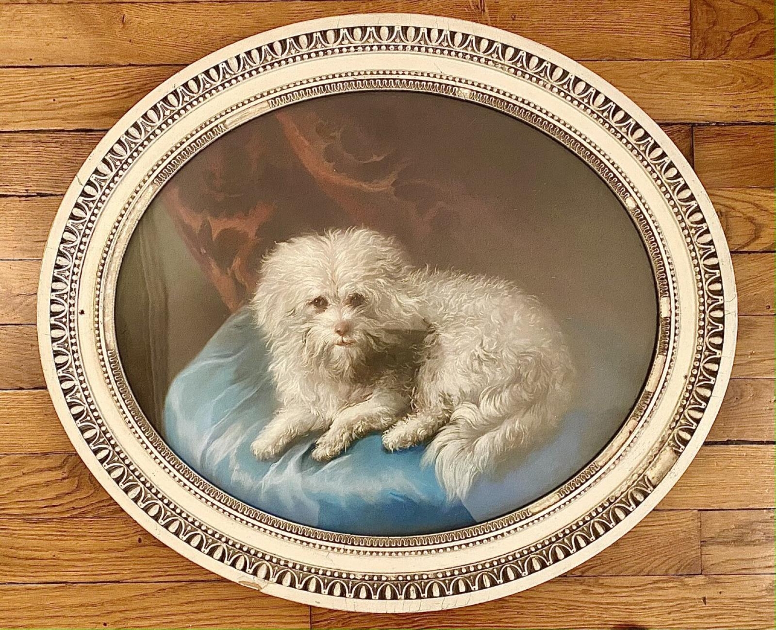 bichon cushion