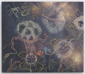 Insects and Angels