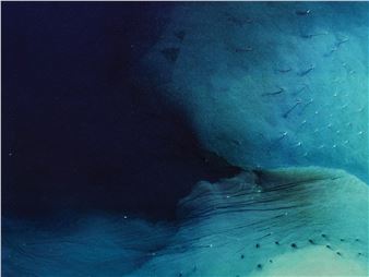 Territorial Agency: Oceans in Transformation - Ocean Space