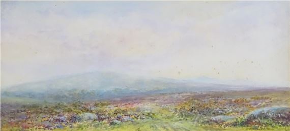 View of a Dartmoor heather landscape - J. A. Moyle