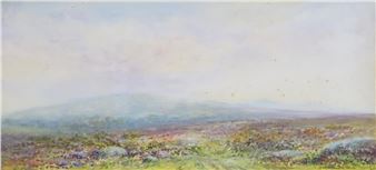 View of a Dartmoor heather landscape - J. A. Moyle
