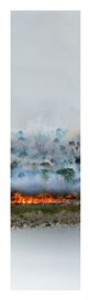 Mary Mattingly Confronts Climate Change with Utopic Resourcefulness