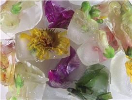 Animated Shorts About the Magic of the Everyday World