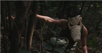 TBA21 Presents an Exhibition at the Museo Nacional Thyssen-Bornemisza