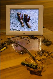 Can Art Create New Worlds from the Pieces of This Broken One?