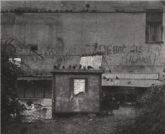 Wanderlust - Maciej Plewinski