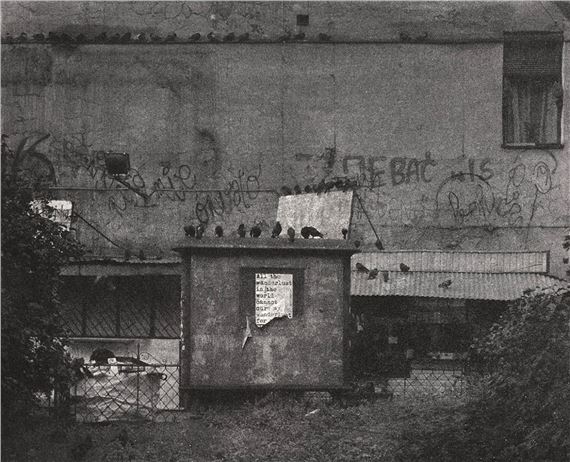 Wanderlust by Maciej Plewinski, 2018