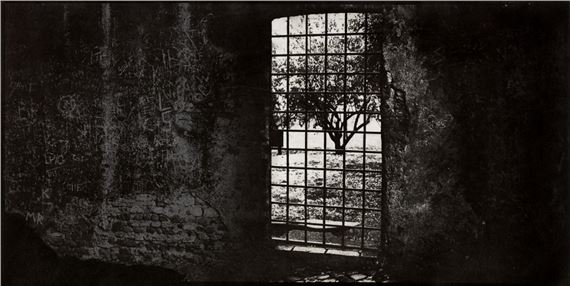 Ogród – Roma by Maciej Plewinski, 2018