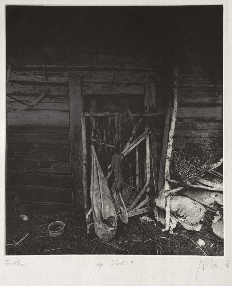 Artwork by Maciej Plewinski, Furtka, Made of heliograwiura / paper Hahnemühle