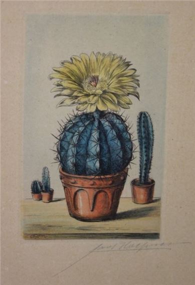 Kakteen - Karl Ludwig Hoefner