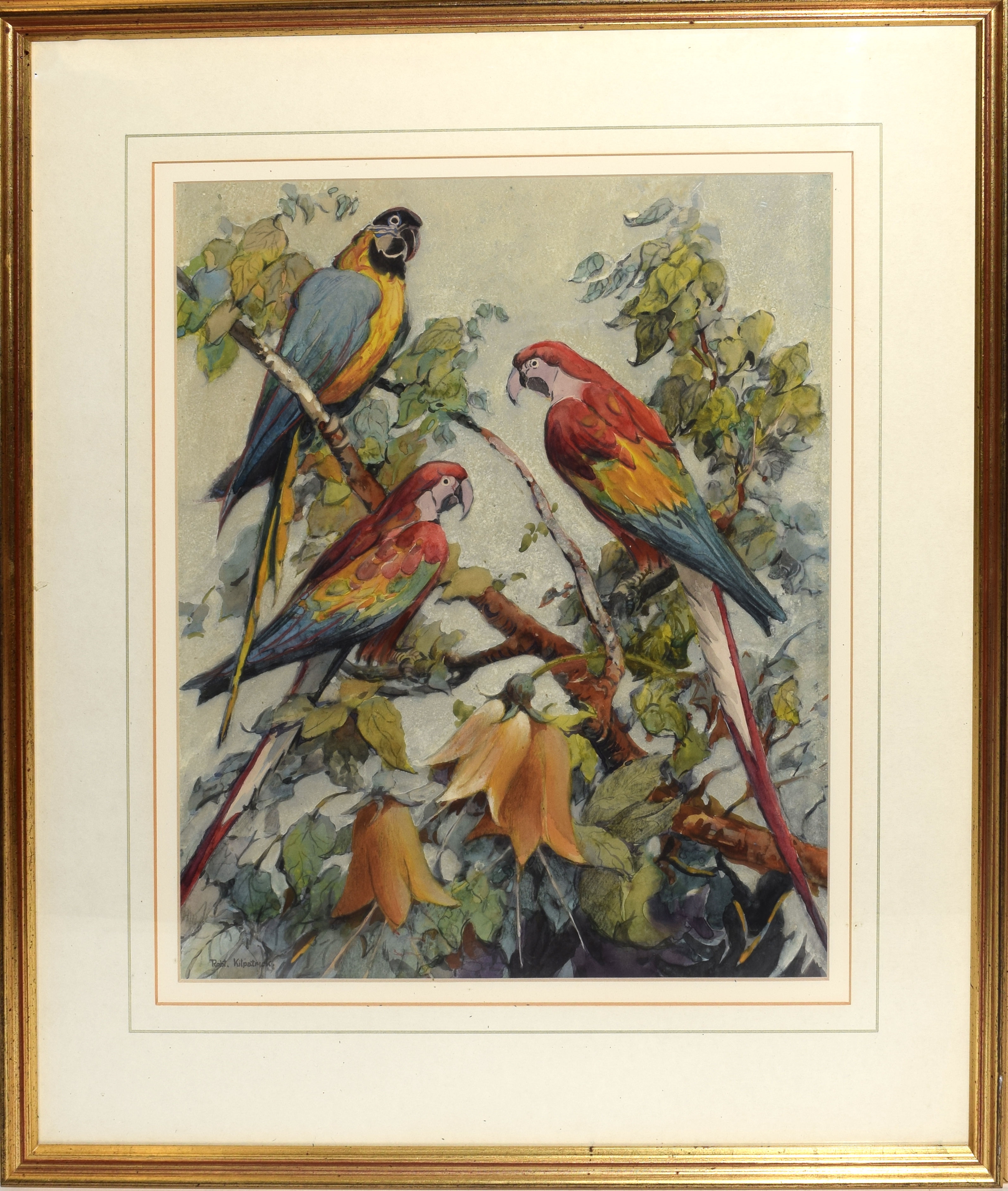 Artwork by Robert Kilpatrick, Parrots, Made of watercolour