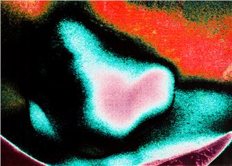 Impronte - Carlo Malandra