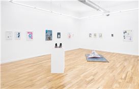 Art That Encapsulates an Incoherent Year: A Review of Erin Washington at Western Exhibitions