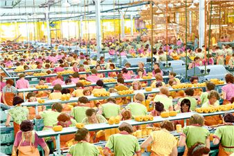 Art Gallery of South Australia Announces Highlights of 2021 Program