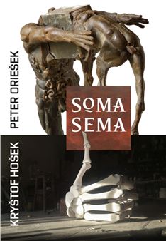 Peter Oriešek & Kryštof Hošek: Soma Sema - Museum Kampa, The Jan and Meda Mládek Foundation