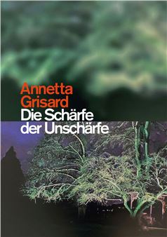 Anetta Grisard: Die Schärfe der Unschärfe - Licht Feld Gallery