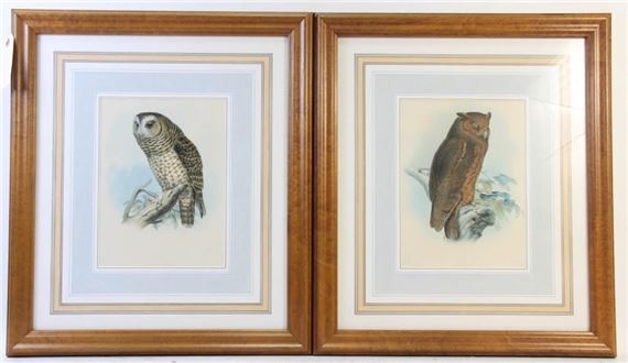 Two Works: OWL by J. Wolf