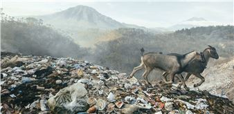 Kilii Yüyan: The Myth of Pristine Wilderness