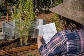 Death Row Inmate Designs Garden Installation by Instructing University Students Through Letters